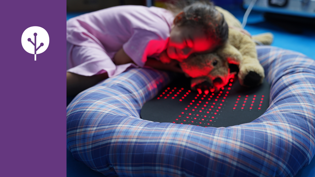 Light Tree Ventures blog Dogs Love Red Light Therapy